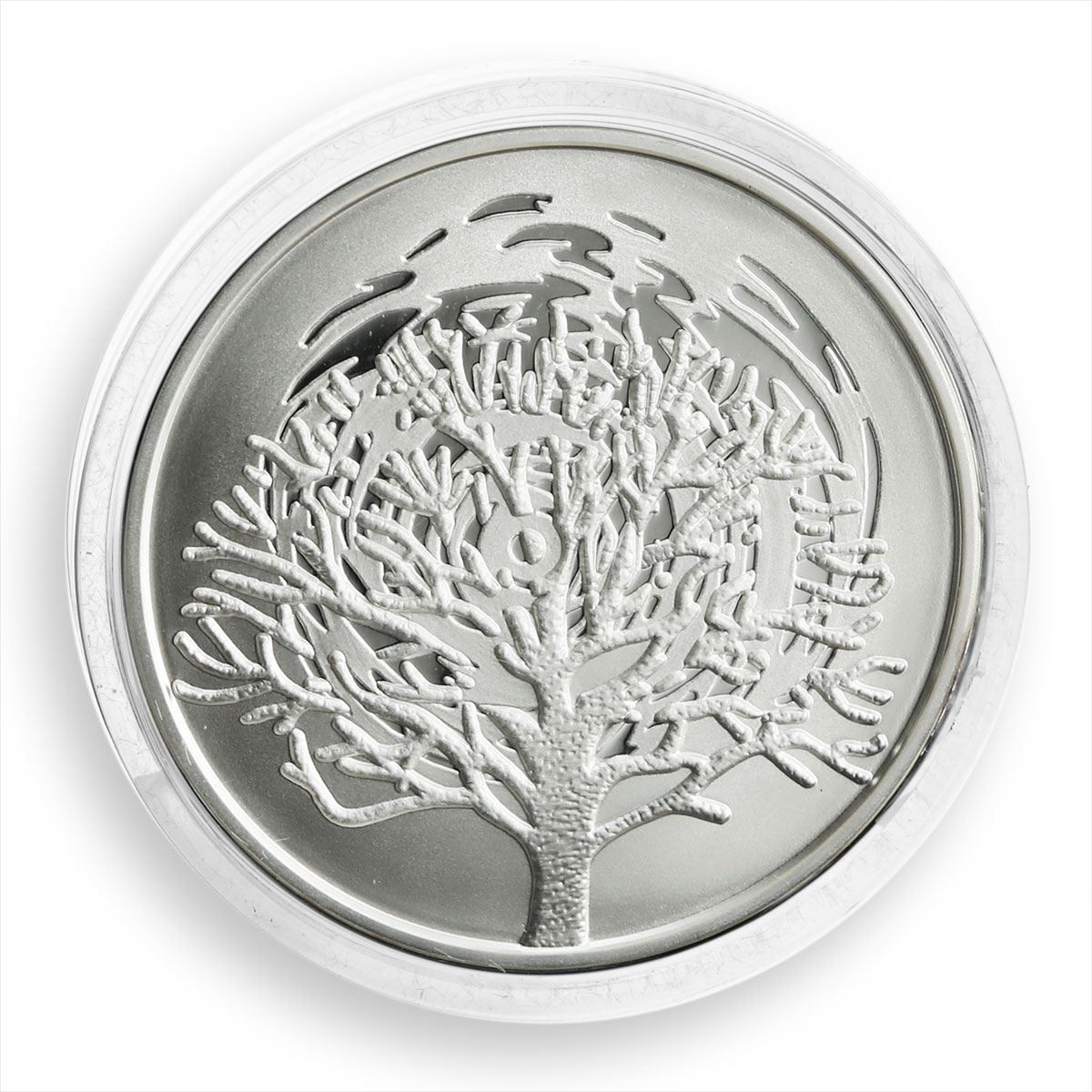 Israel set of 2 coins 1 &amp; 2 shekels Burning bush Biblical art silver 2004