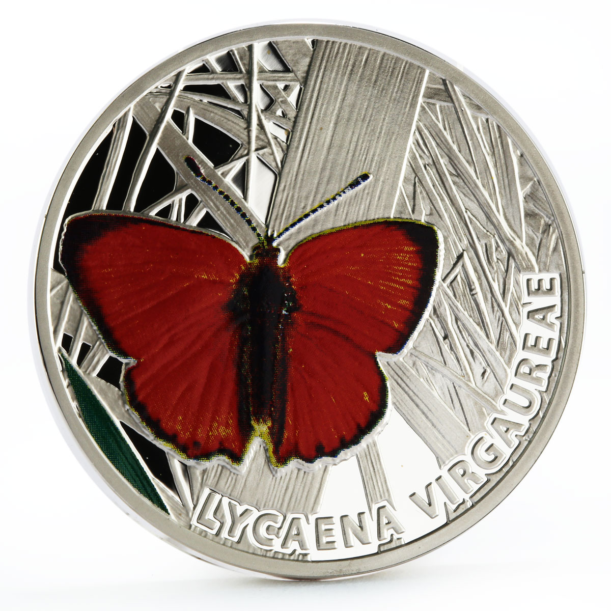 Niue 1 dollar Butterflies series Scars Copper Butterfly colored silver coin 2010