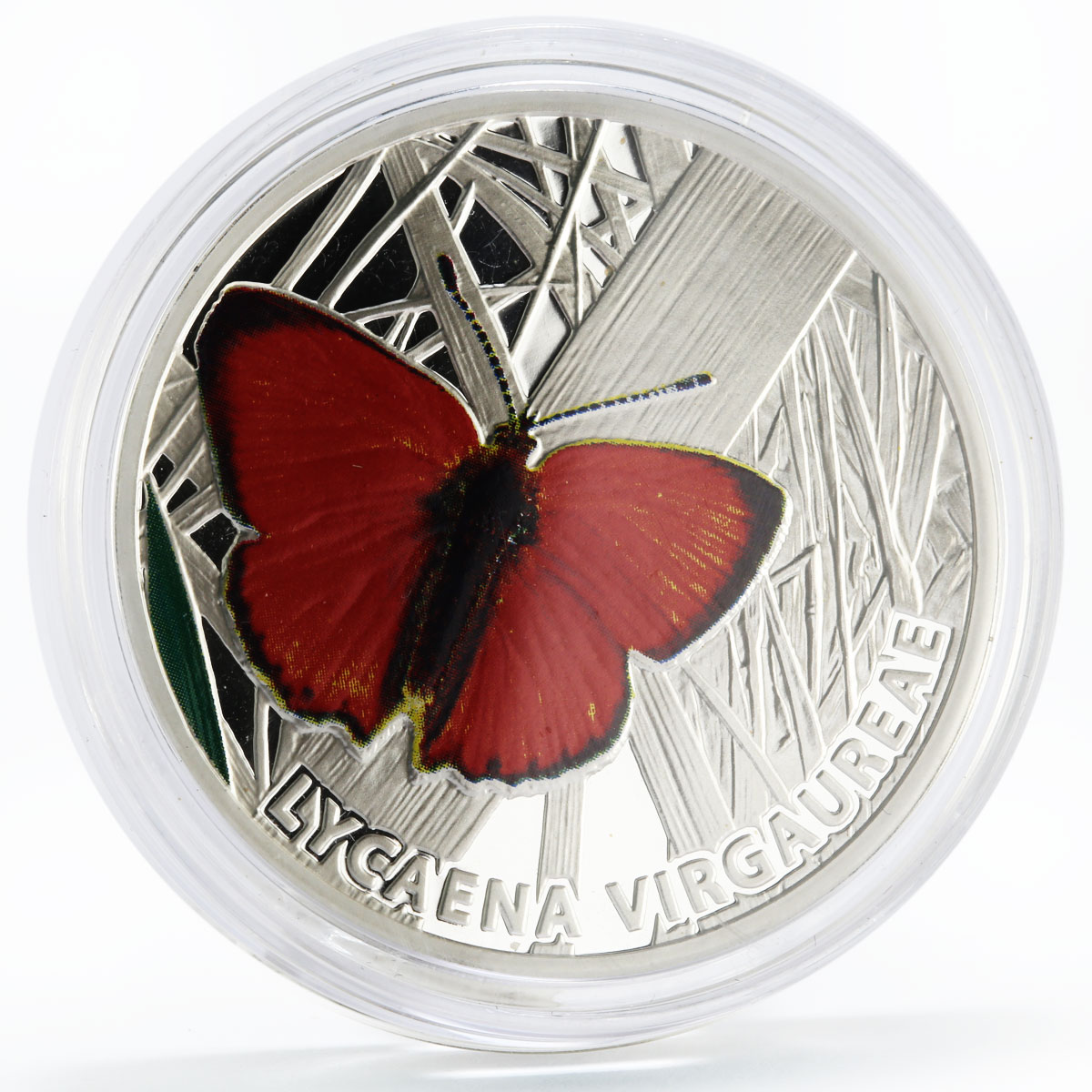 Niue 1 dollar Butterflies series Scars Copper Butterfly colored silver coin 2010