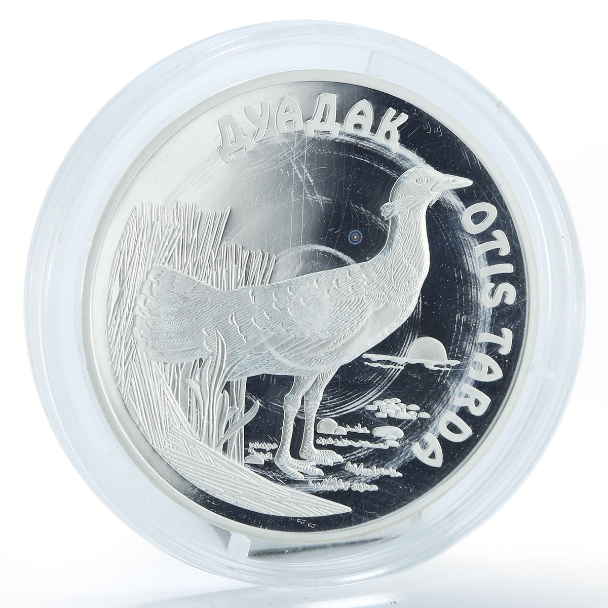 Kazakhstan 500 tenge Dudak Otis Tarda bird silver coin 2003