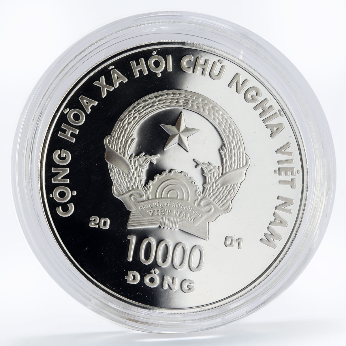 Vietnam 10000 dong Year of the Snake colored silver coin 2001