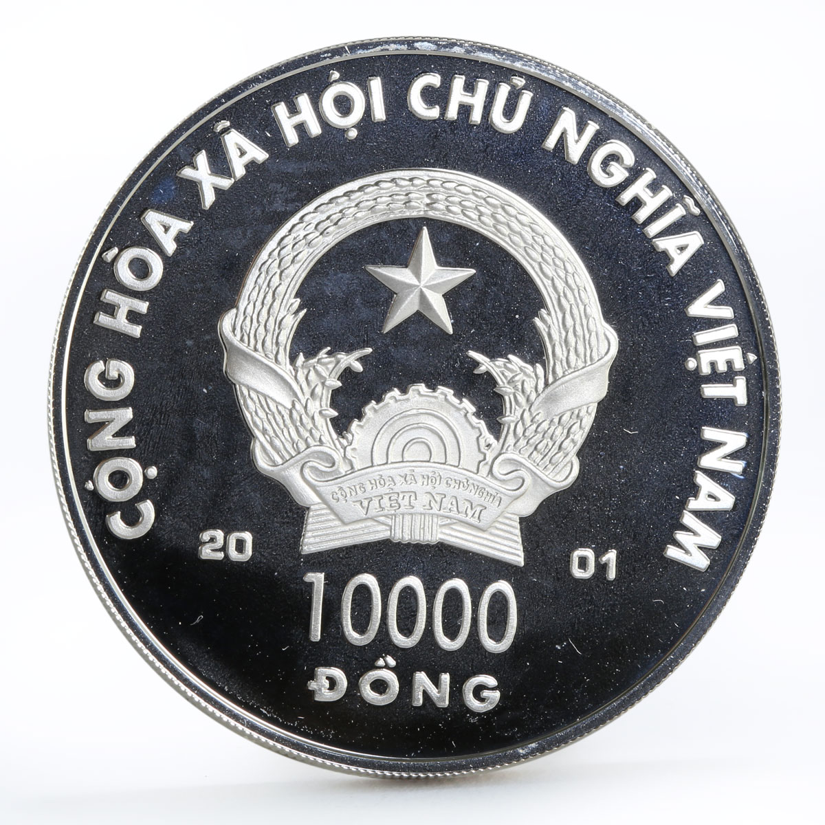 Vietnam 10000 dong Year of the Snake colored silver coin 2001