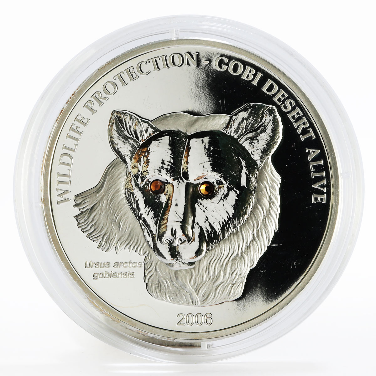 Mongolia 500 togrog Wildlife Protection series Gobi Bear proof silver coin 2006
