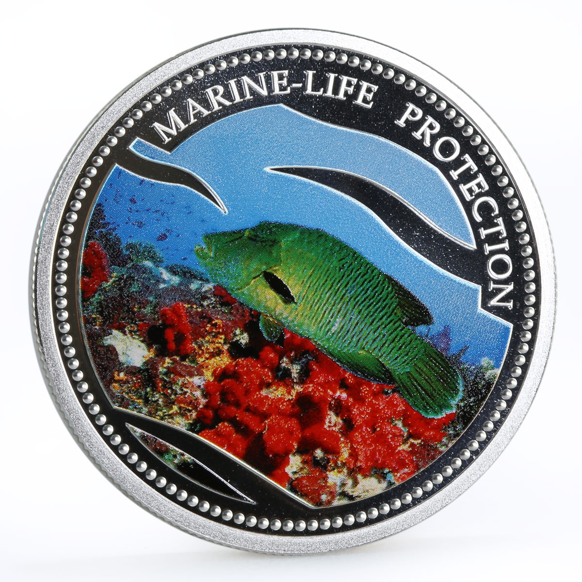 Palau 5 dollars Marine Life Protection series Napoleon Fish silver coin 2003