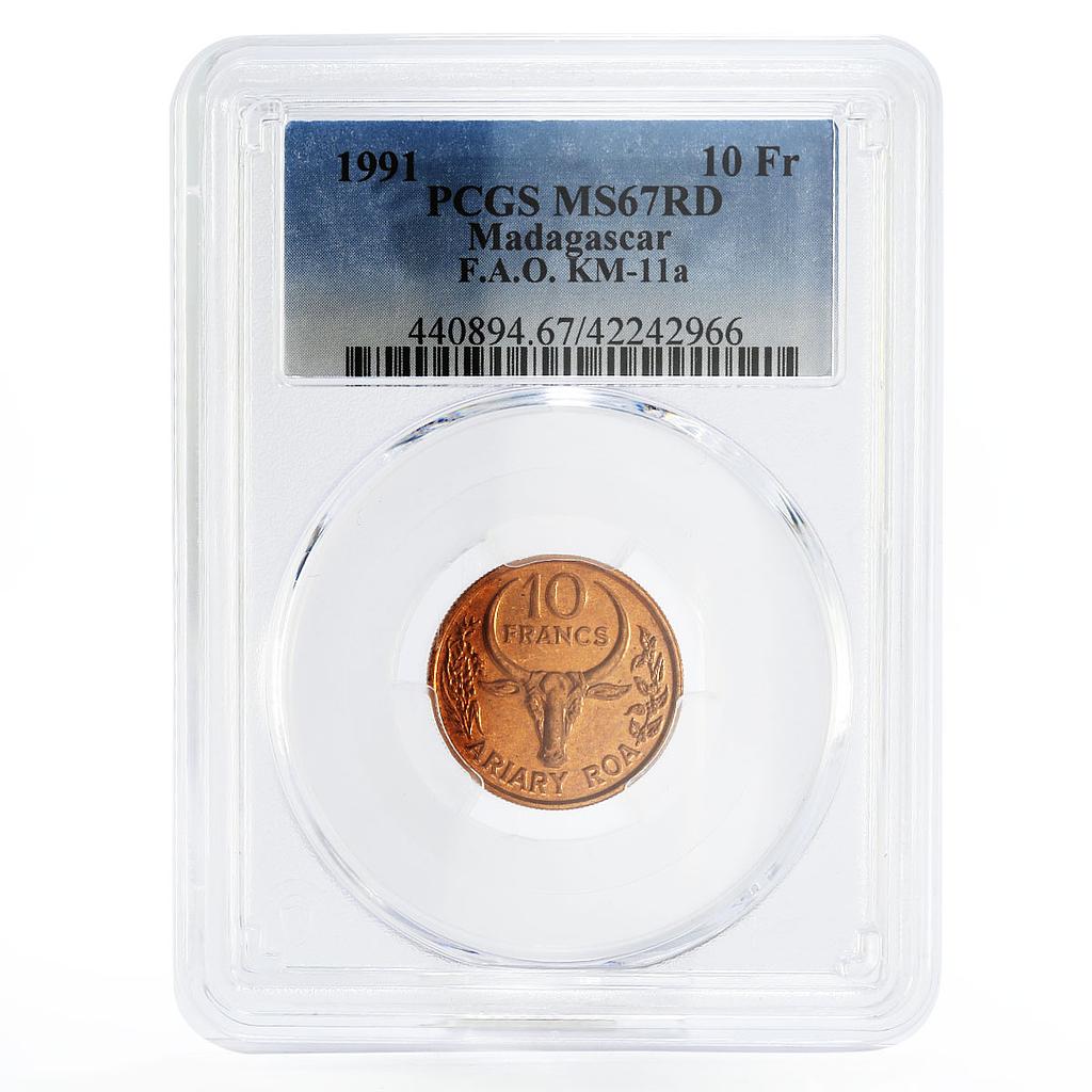 Madagascar 10 francs FAO series Bull MS67 PCGS copper coin 1991