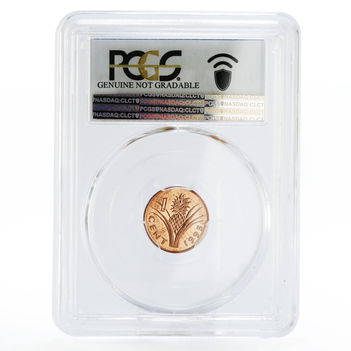 Swaziland 1 cent Pineapple and Man UNC Detail PCGS bronze coin 1995