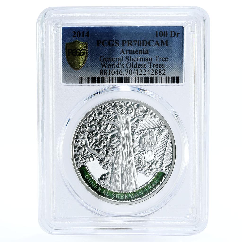 Armenia 100 dram General Sherman Tree Sequoia PR70 PCGS colored silver coin 2014