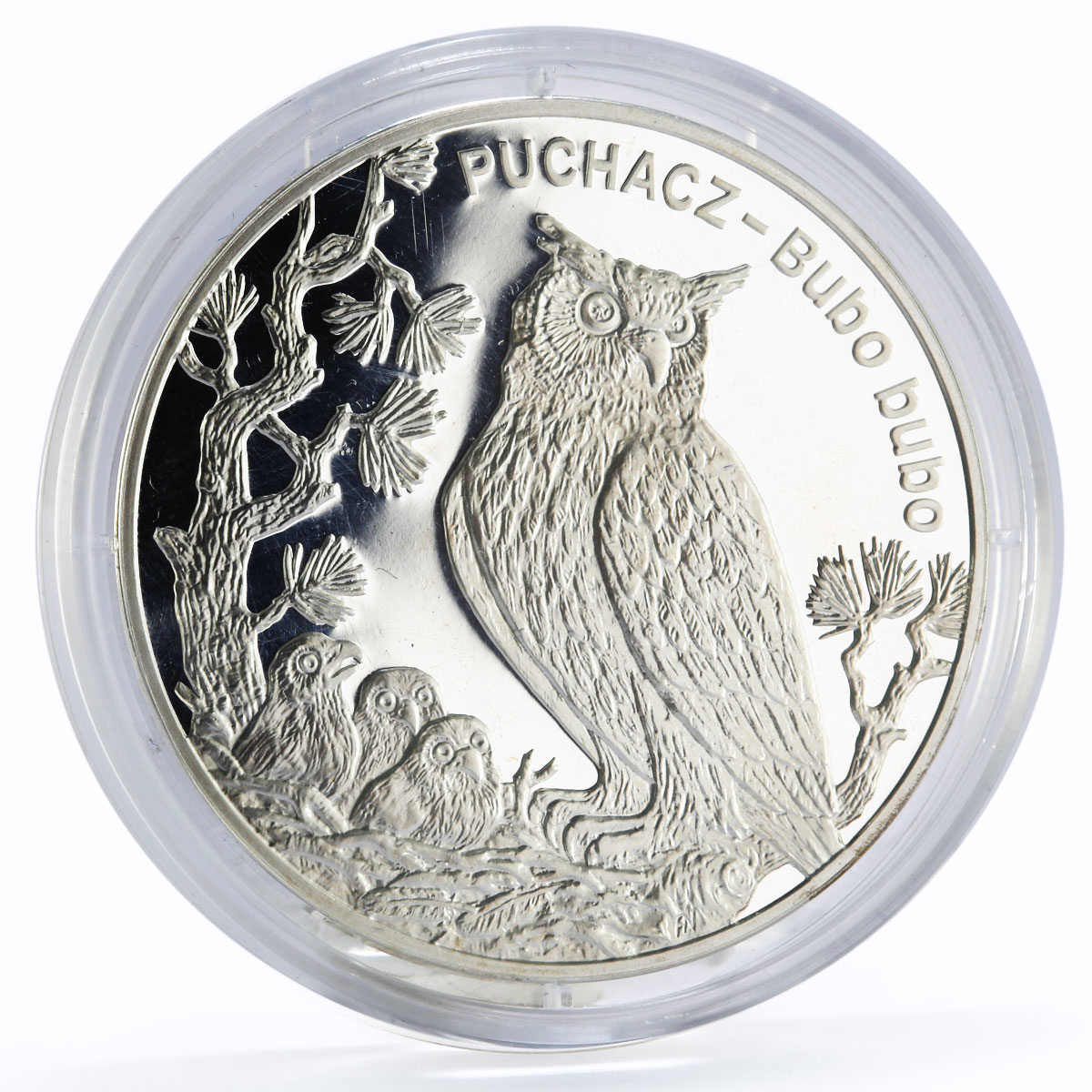 Poland 20 zlotych Endangered Wildlife series Eagle Owl proof silver coin 2005