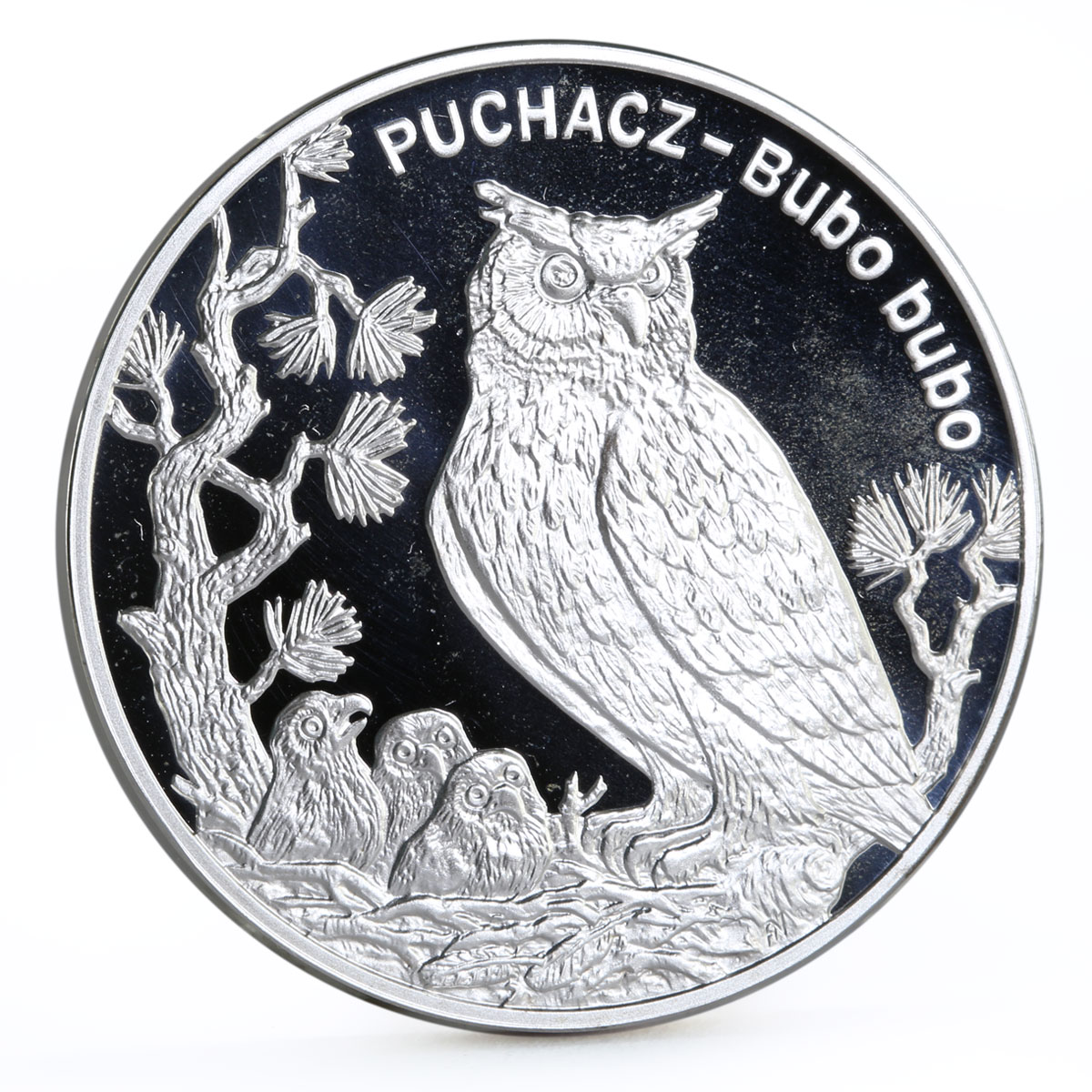 Poland 20 zlotych Endangered Wildlife series Eagle Owl proof silver coin 2005