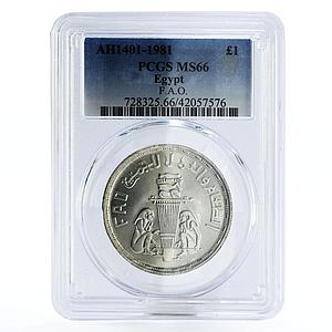 Egypt 1 pound FAO Two Egyptian Men and Torch MS66 PCGS silver coin 1981