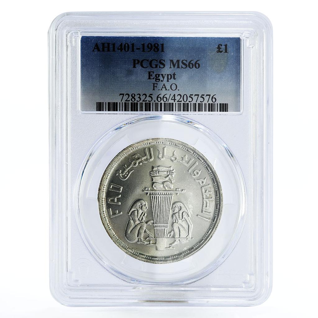 Egypt 1 pound FAO Two Egyptian Men and Torch MS66 PCGS silver coin 1981