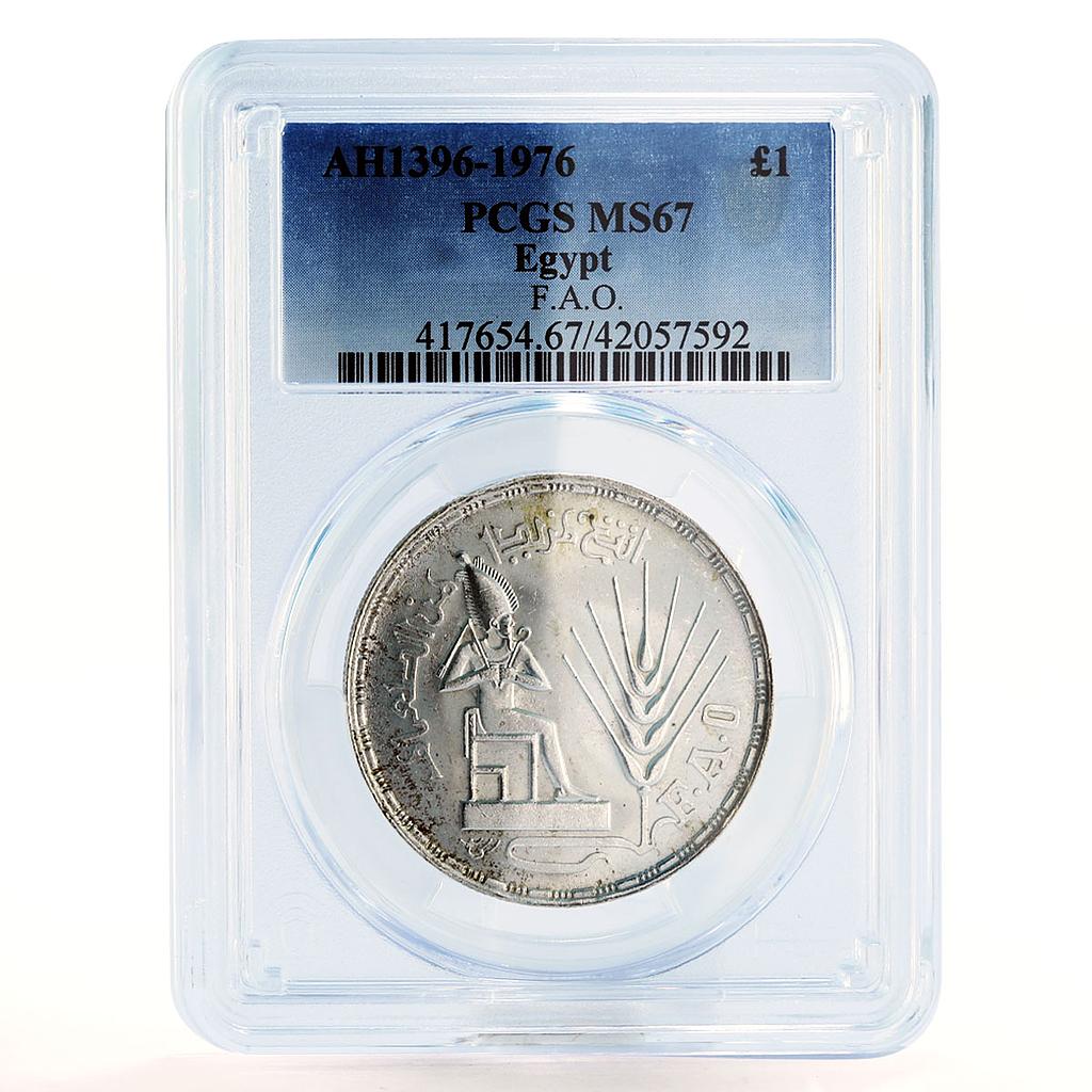 Egypt 1 pound FAO God Osiris Sitting Wheat Sprig MS67 PCGS silver coin 1976