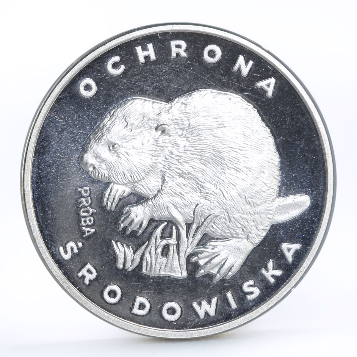 Poland 100 zlotych Protection of Nature series Beaver proba silver coin 1978