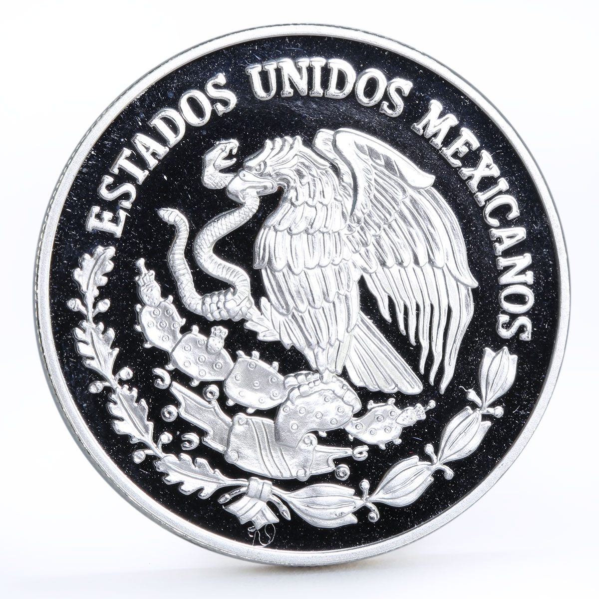 Mexico 100 pesos Animal Save the Vaquita Porpose proof silver coin 1992