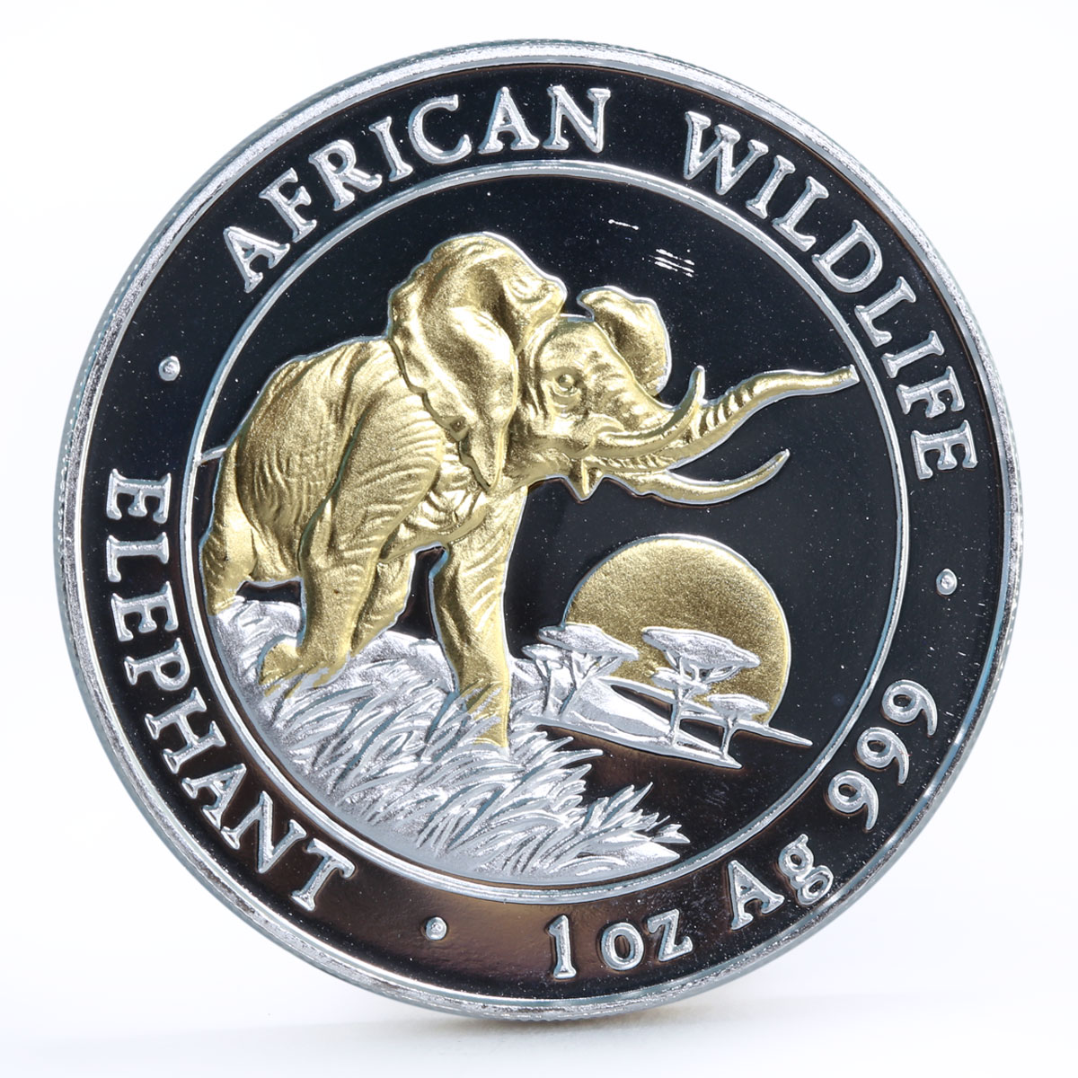 Somali 100 shillings African Wildlife series Elephant gilded silver coin 2009