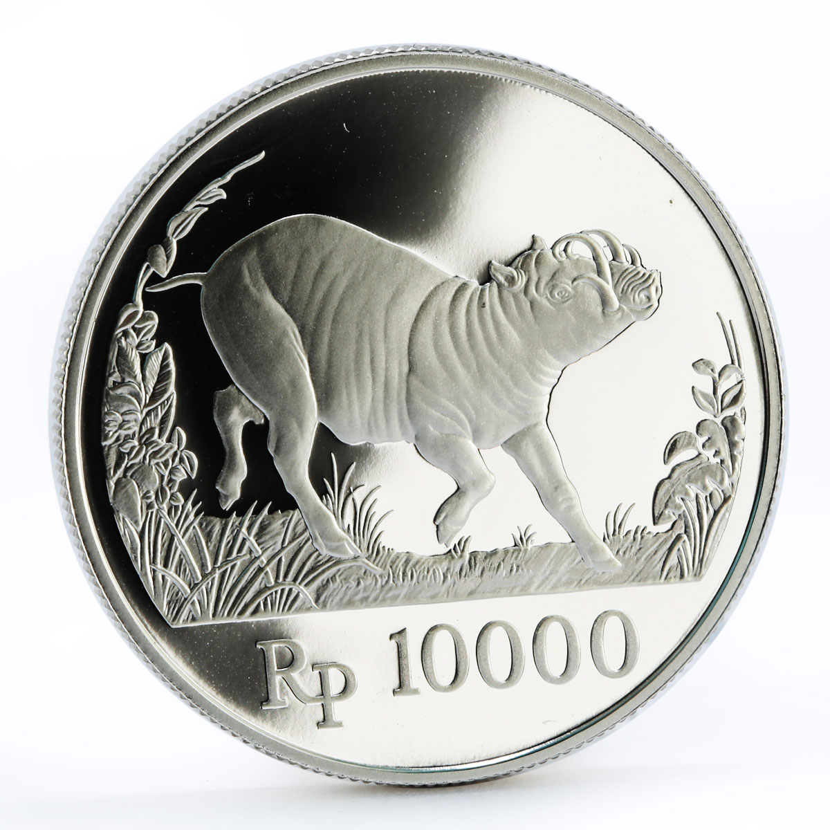 Indonesia 10000 rupiah World Wildlife series Wild Pig proof silver coin 1987