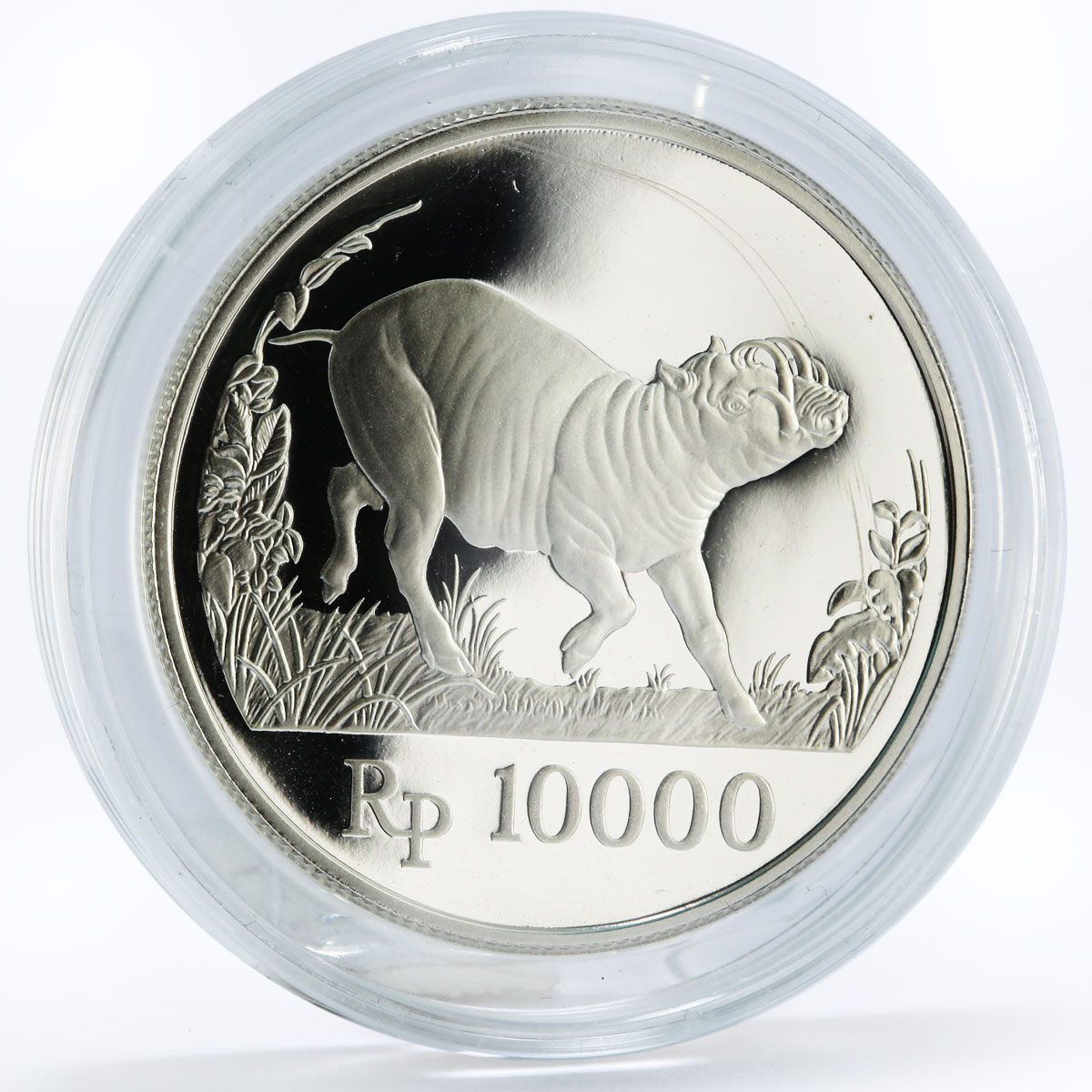 Indonesia 10000 rupiah World Wildlife series Wild Pig proof silver coin 1987