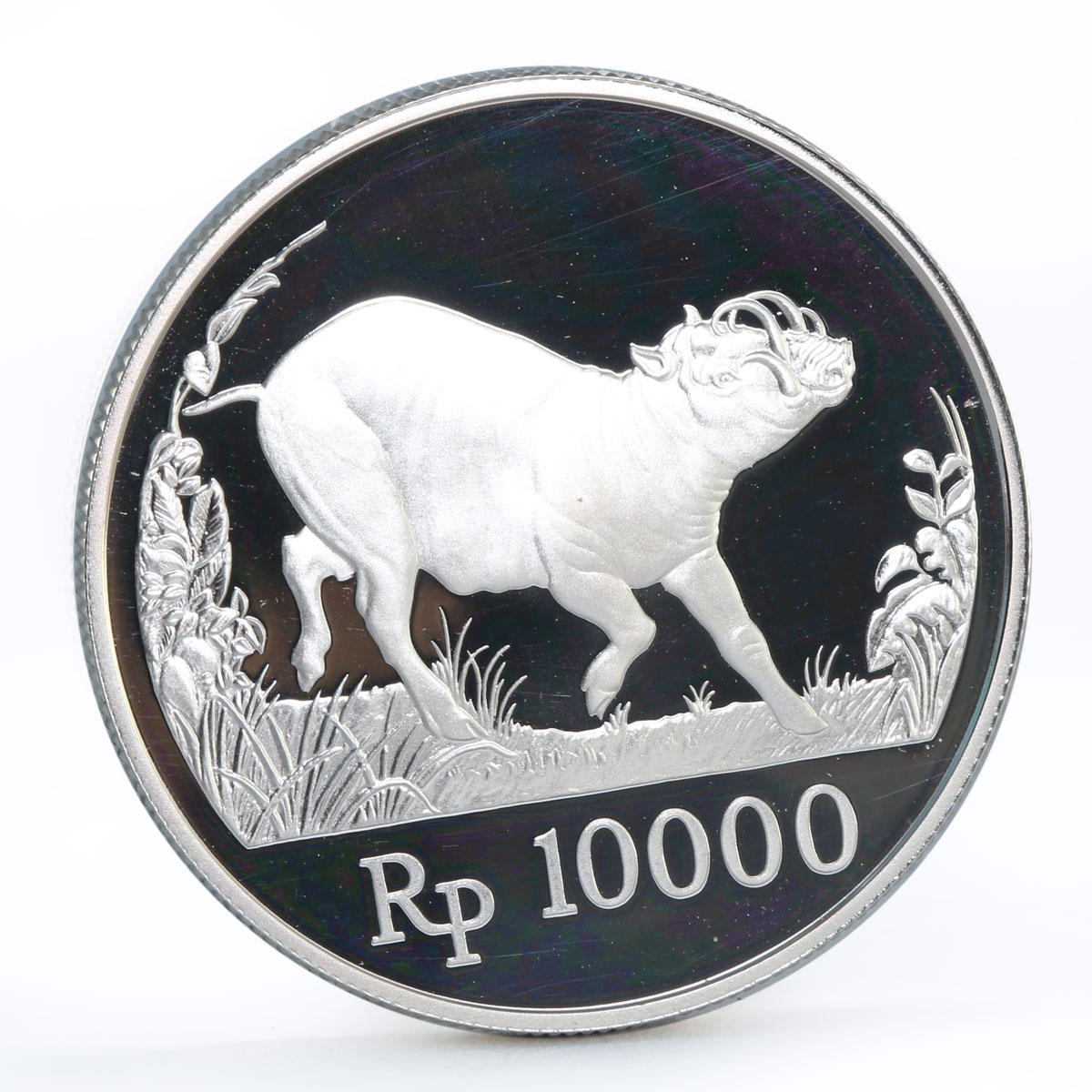 Indonesia 10000 rupiah World Wildlife series Wild Pig proof silver coin 1987