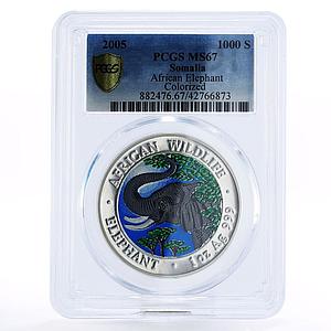 Somalia 1000 shillings Wildlife Elephant MS67 PCGS colored silver coin 2005