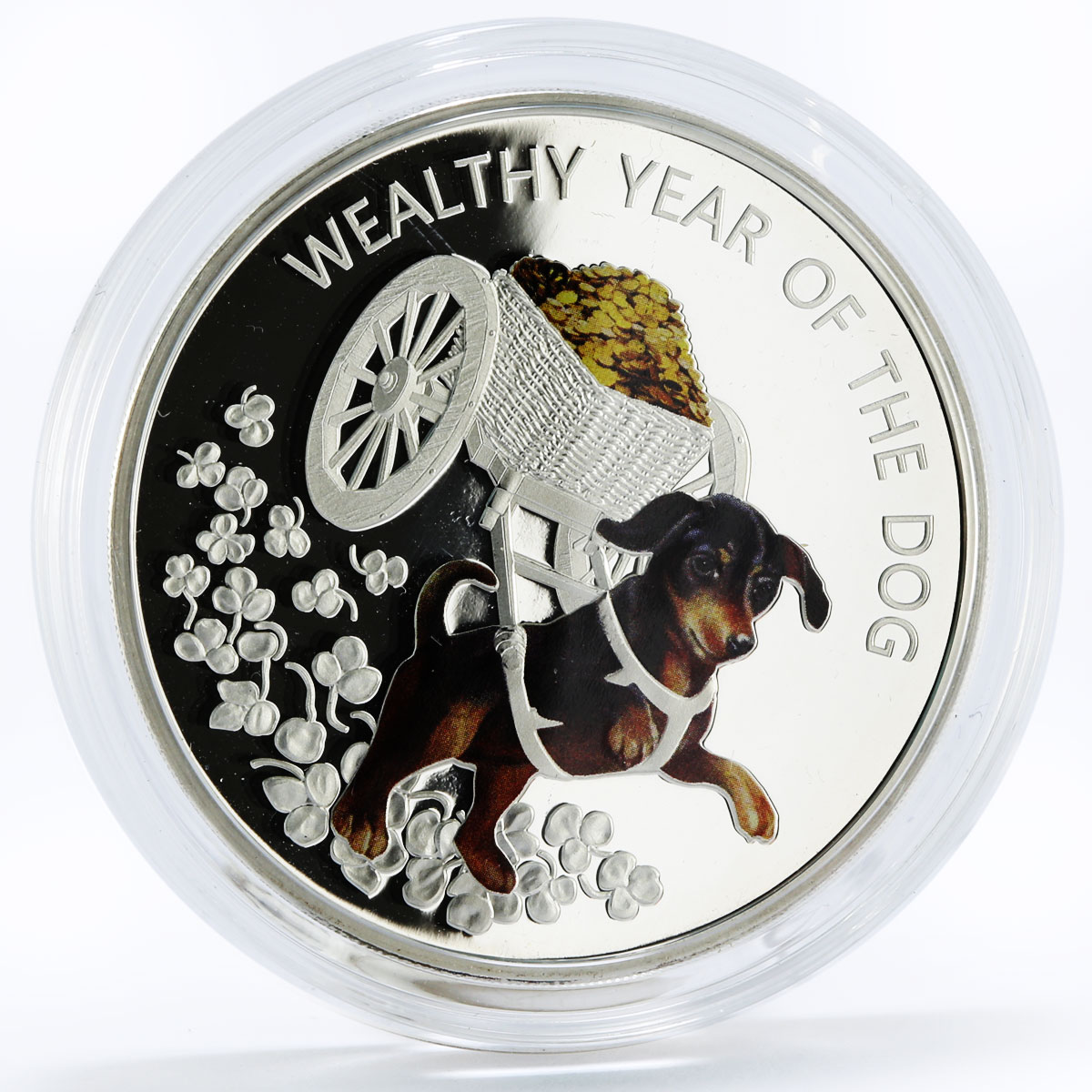 Macedonia 100 denars Wealthy Year of the Dog colored proof silver coin 2018