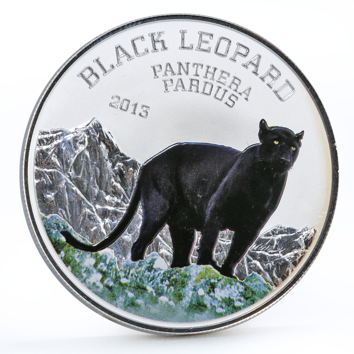 Congo 1000 francs Wildlife Black Leopard Cat colored silver coin 2013