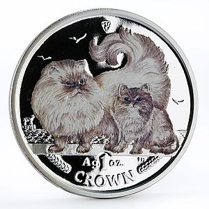 Isle of Man 1 crown Home Pets Two Chinchilla Cats Animals proof silver coin 2009