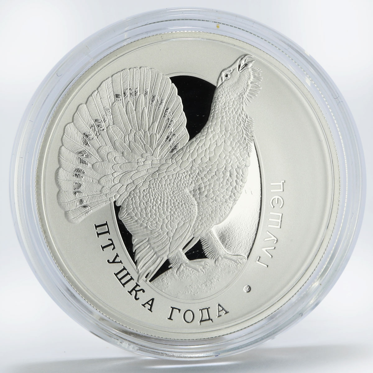 Belarus 10 rubles Environment Protection Western Capercaillie silver coin 2020