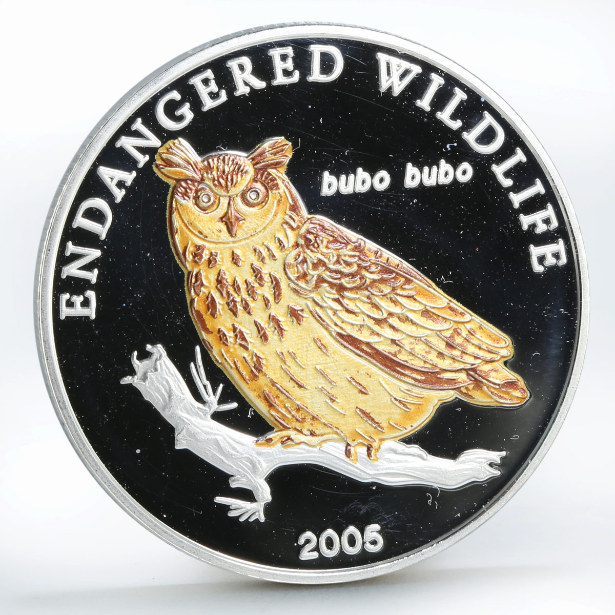 Mongolia 500 togrog Eurasian Owl Bubo silver coin 2005