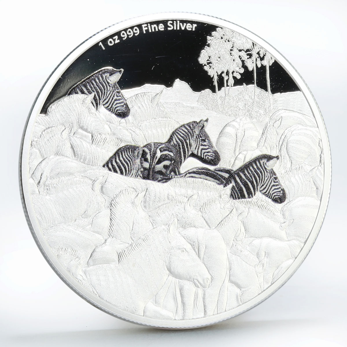 Niue 2 dollars Great Migrations series Zebra colored proof silver coin 2016