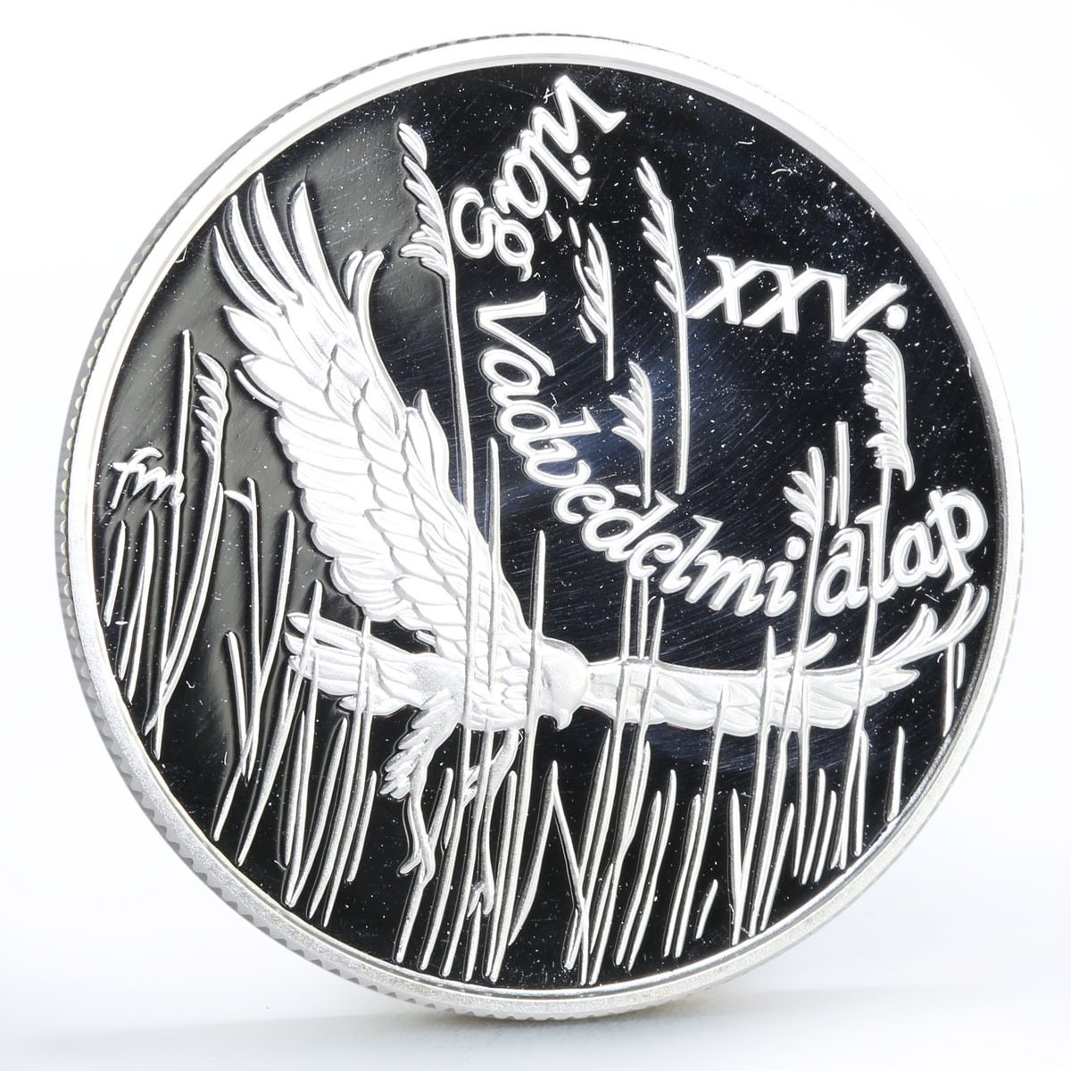Hungary 500 forint World Wildlife Fund Montagu's Harrier Bird silver coin 1988