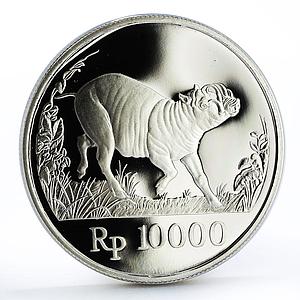 Indonesia 10000 rupiah World Wildlife series Wild Pig proof silver coin 1987