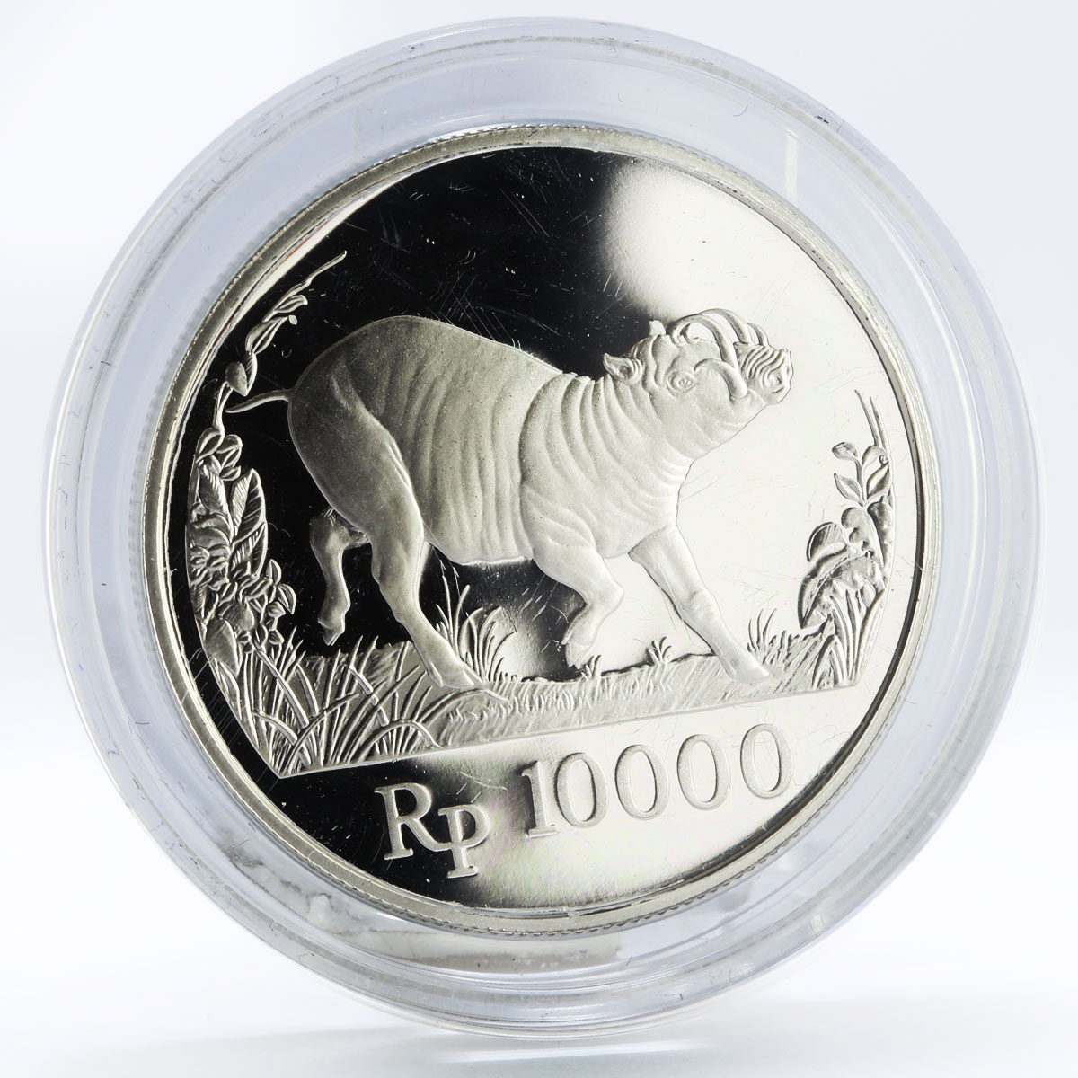 Indonesia 10000 rupiah World Wildlife series Wild Pig proof silver coin 1987