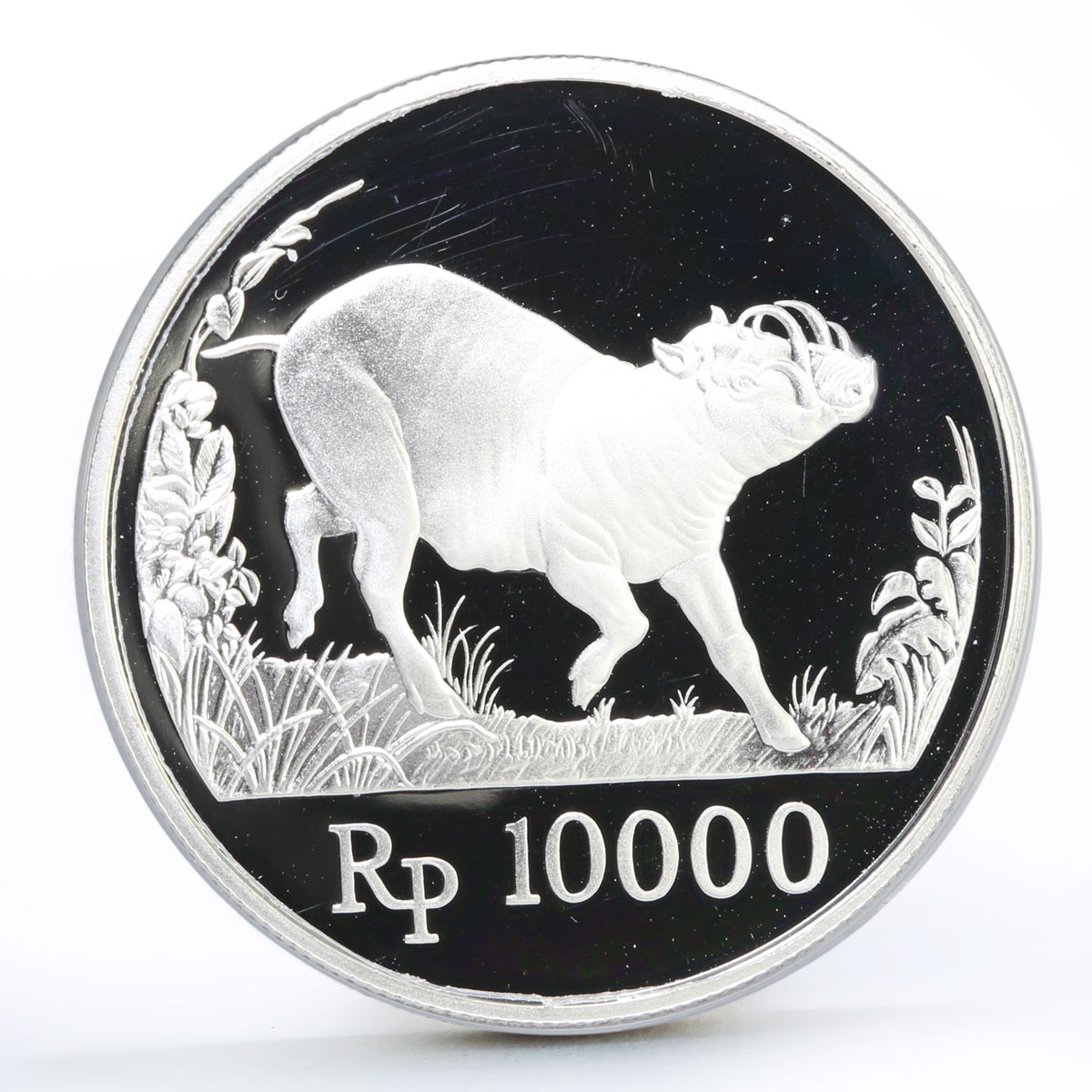 Indonesia 10000 rupiah World Wildlife series Wild Pig proof silver coin 1987