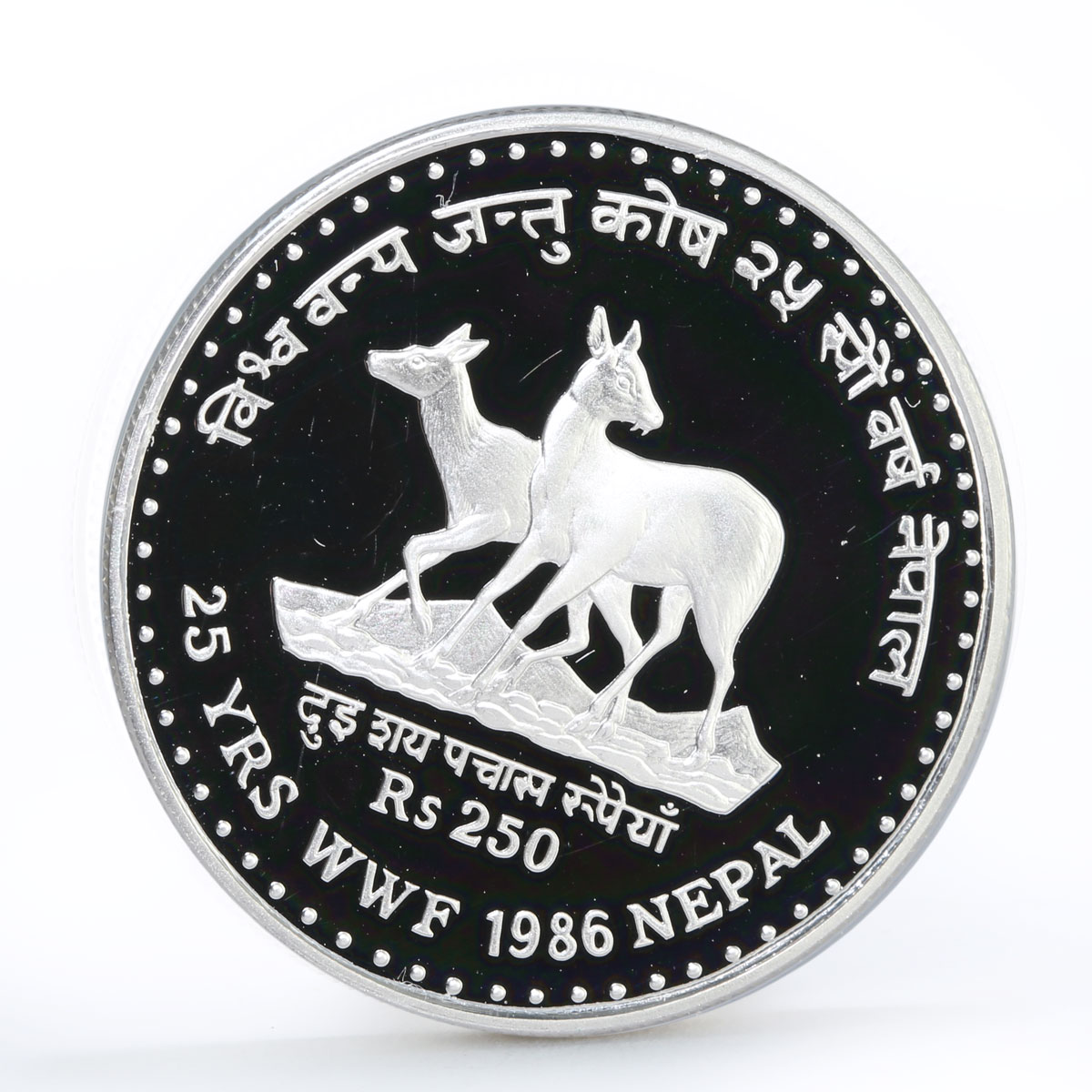 Nepal 250 rupees World Wildlife Fund Fauna Musk Deers proof silver coin 1986