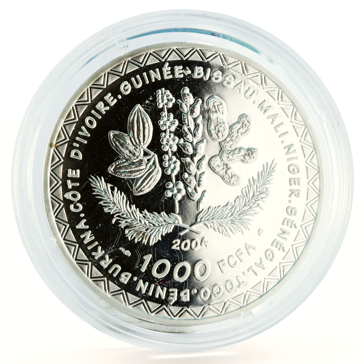 African States 1000 francs Football World Cup in germany Player silver coin 2004