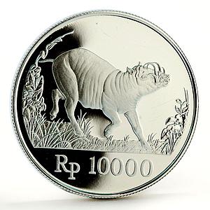 Indonesia 10000 rupiah World Wildlife series Wild Pig proof silver coin 1987