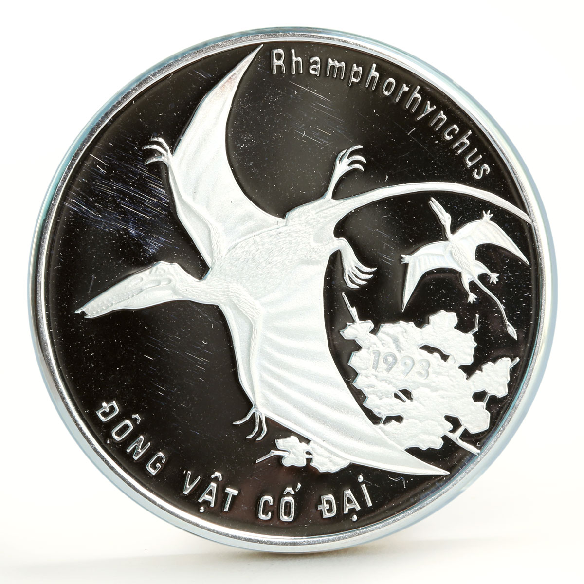 Vietnam 100 dong Dinosaurus Pterodactyl Prehistoric Reptiles silver coin 1993