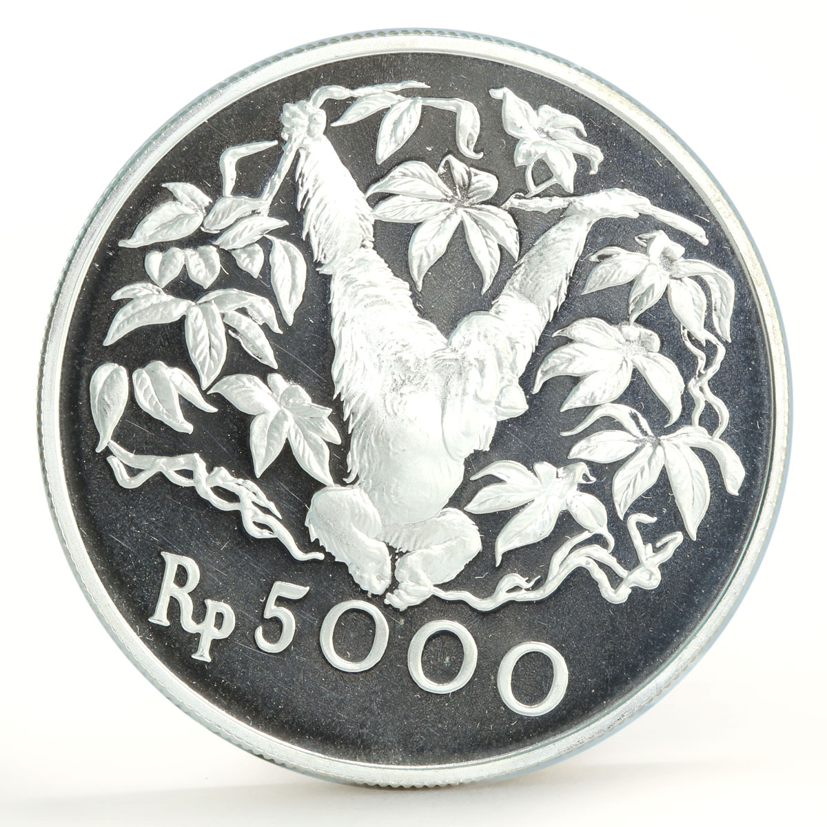 Indonesia 5000 rupiah Animal series Orangutan proof silver coin 1974