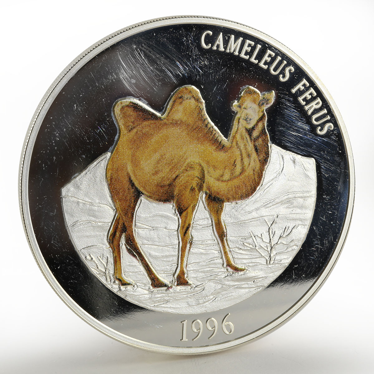 Mongolia 5000 togrog Cameleus Ferus - Camel proof silver coin 1996