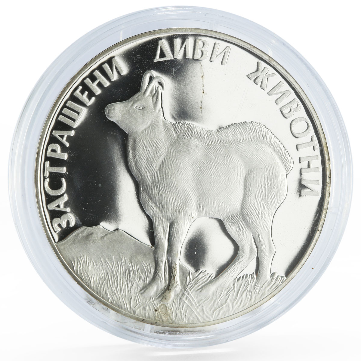 Bulgaria 100 leva Endangered Wildlife Wild Goat Fauna proof silver coin 1993