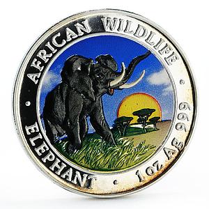 Somali 100 shillings African Wildlife series Elephant colored silver coin 2009