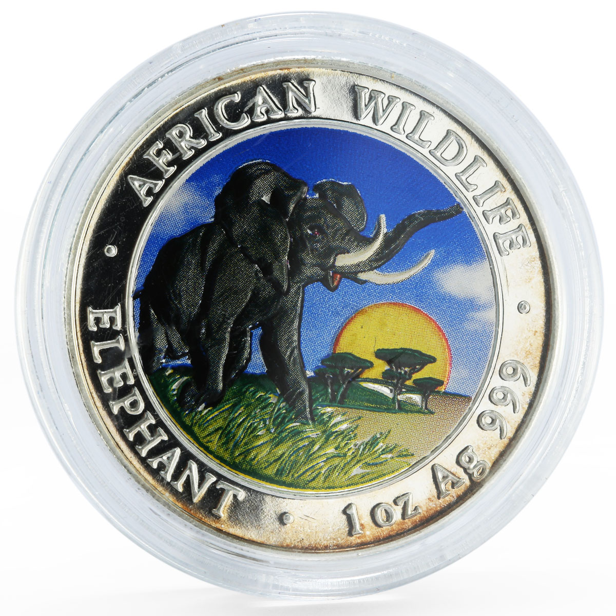 Somali 100 shillings African Wildlife series Elephant colored silver coin 2009