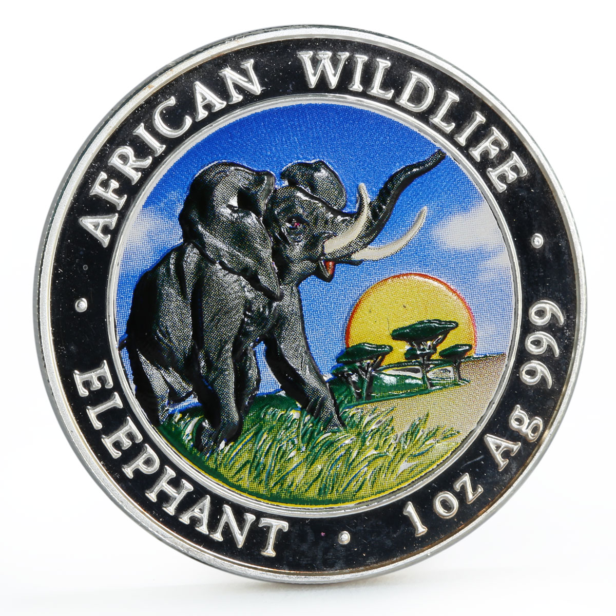 Somali 100 shillings African Wildlife series Elephant colored silver coin 2009