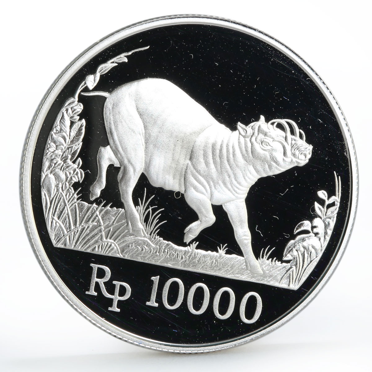 Indonesia 10000 rupiah World Wildlife series Wild Pig proof silver coin 1987