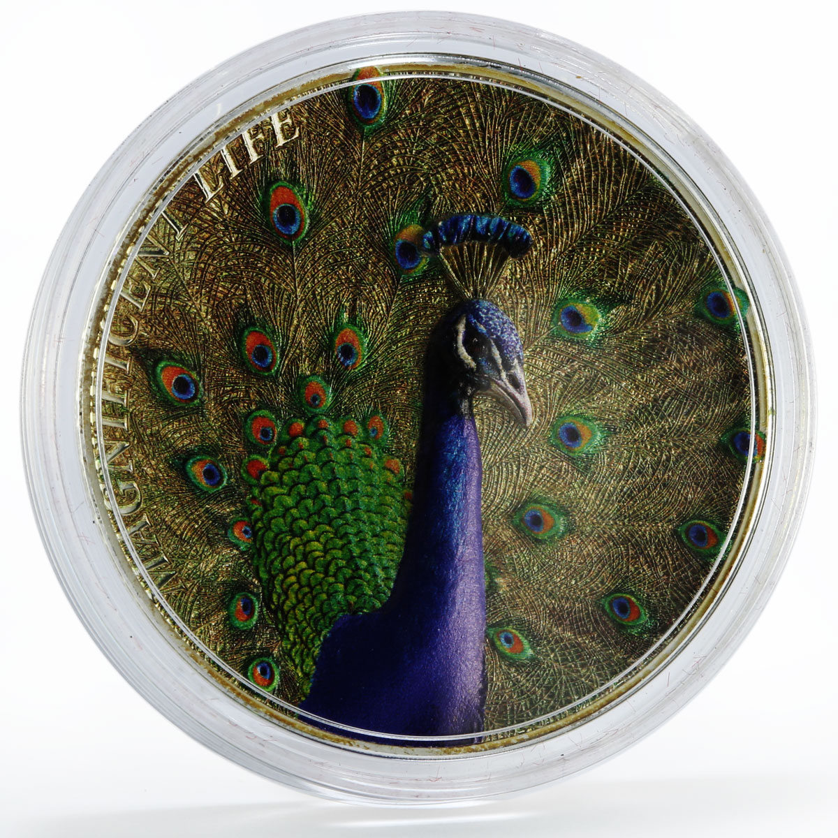 Cook Islands 5 dollars Magnificent Life Peacock Bird silver coin 2015