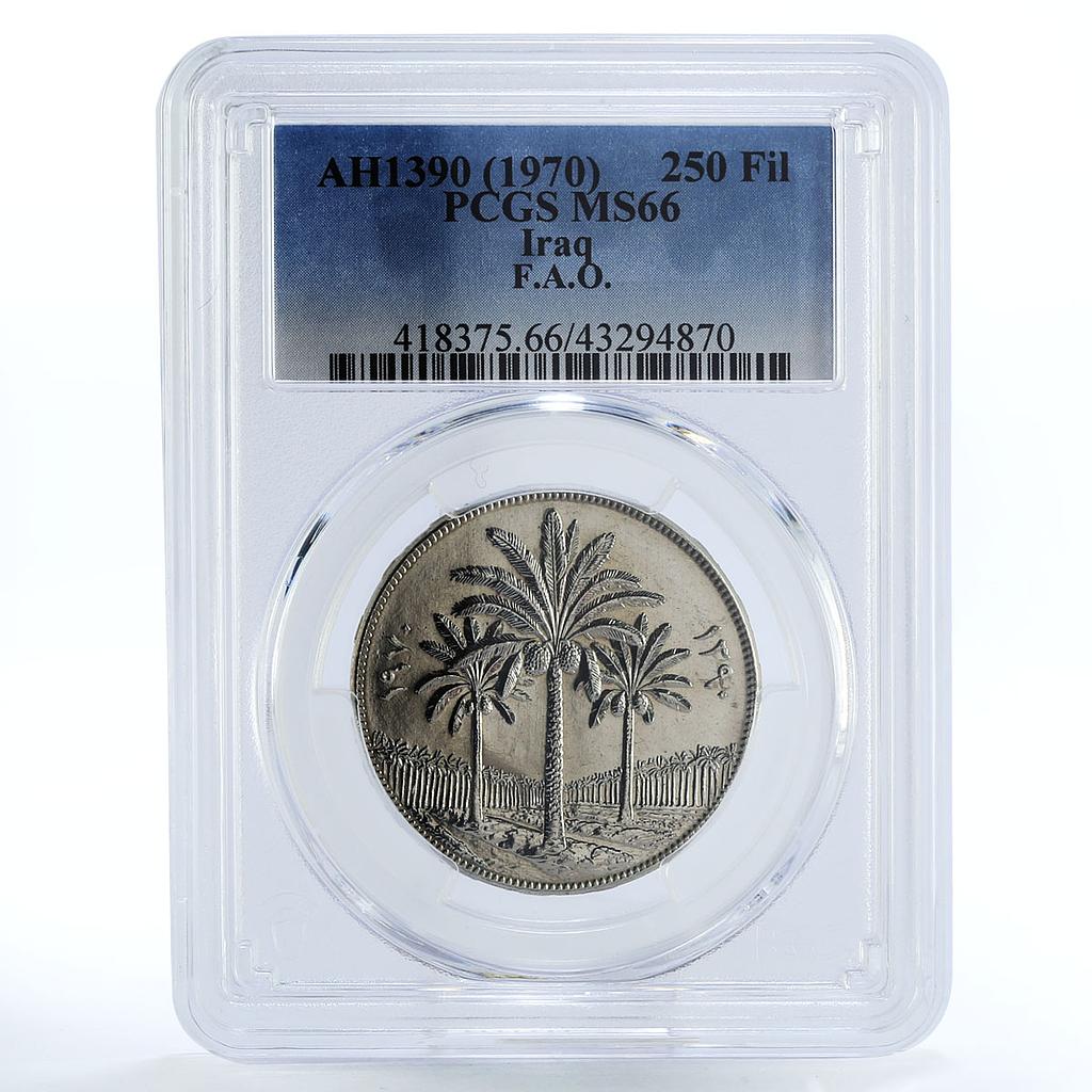 Iraq 250 fils FAO Land Reform Palm Trees MS66 PCGS nickel coin 1970