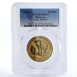 Malaysia 25 sen Endangered Wildlife Gaur Buffalo MS67 PCGS copper coin 2003