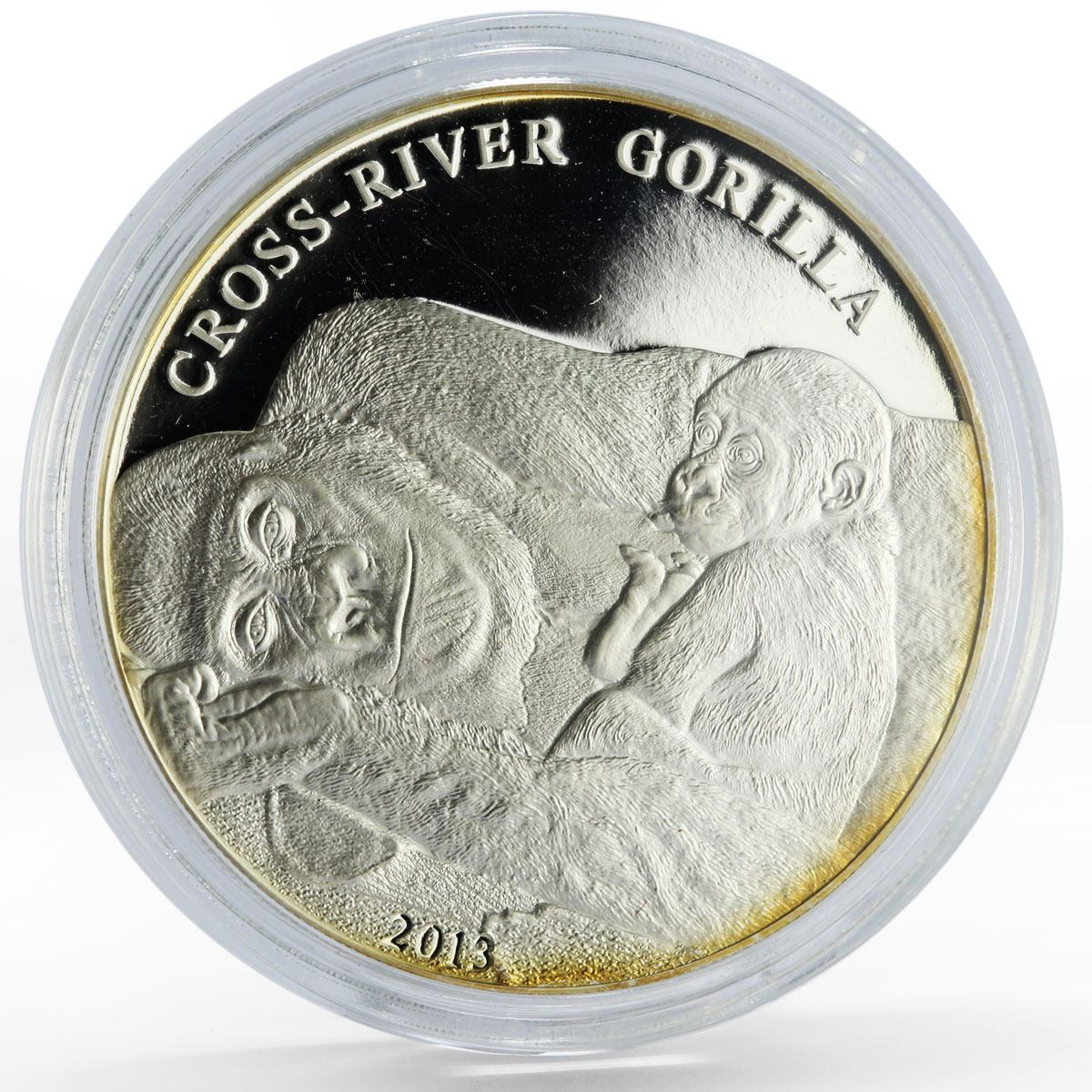 Cameroon 1000 francs Endangered Wildlife Cross-River Gorilla silver coin 2013