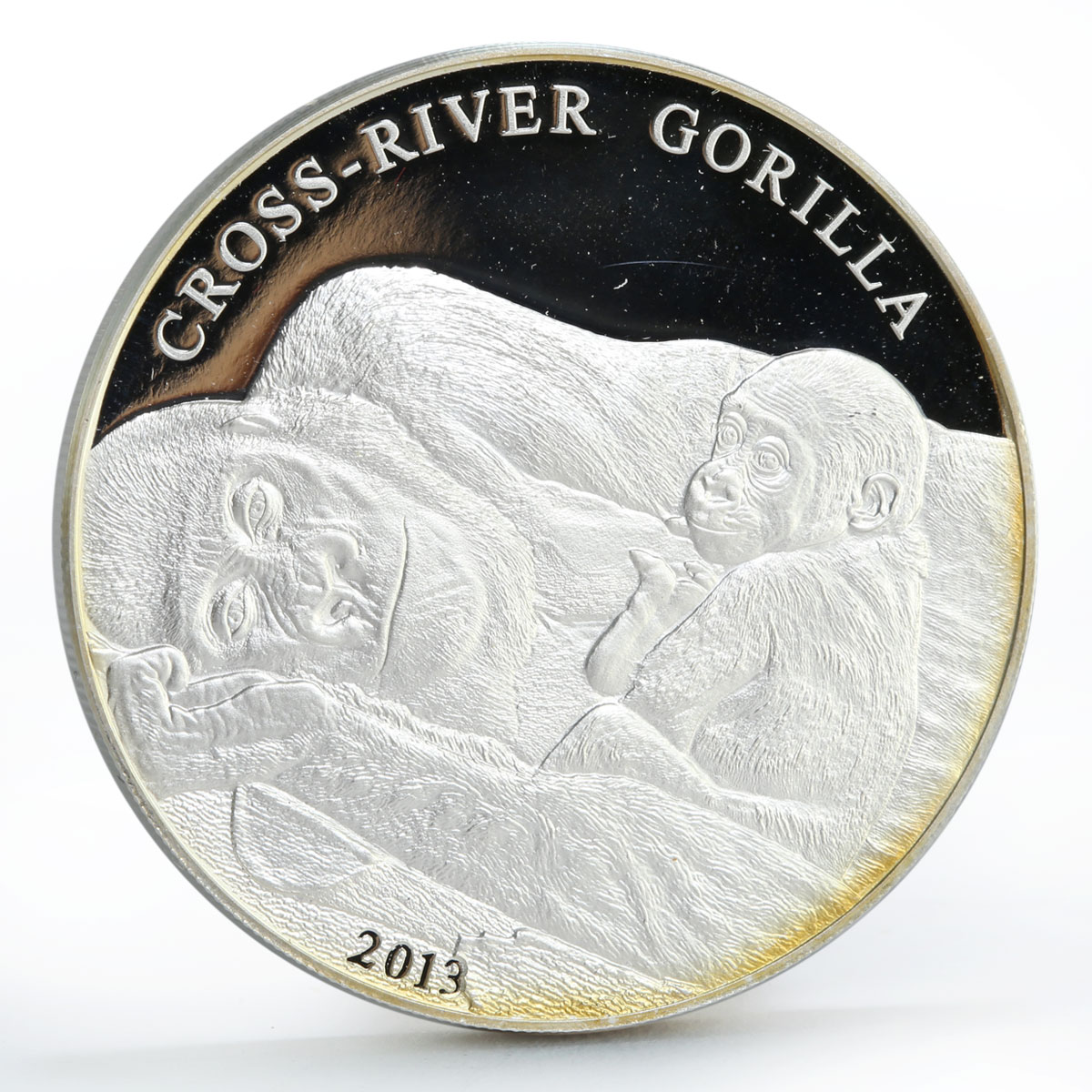 Cameroon 1000 francs Endangered Wildlife Cross-River Gorilla silver coin 2013