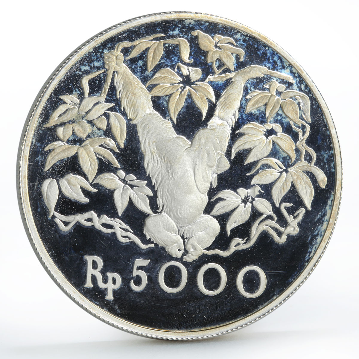 Indonesia 5000 rupiah Animal series Orangutan proof silver coin 1974